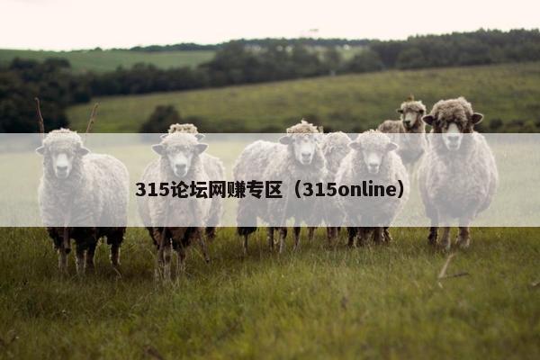 315论坛网赚专区（315online）