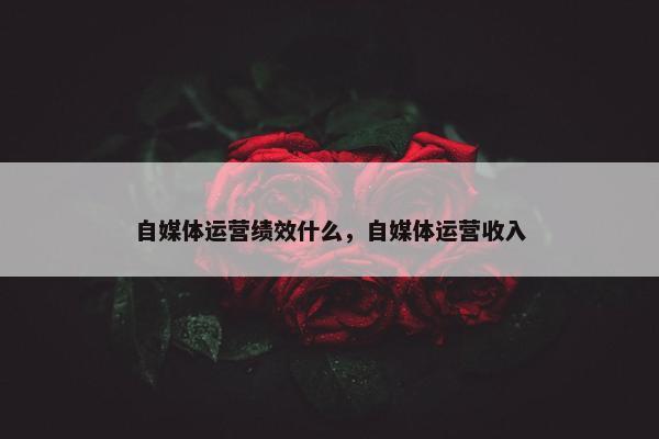自媒体运营绩效什么，自媒体运营收入