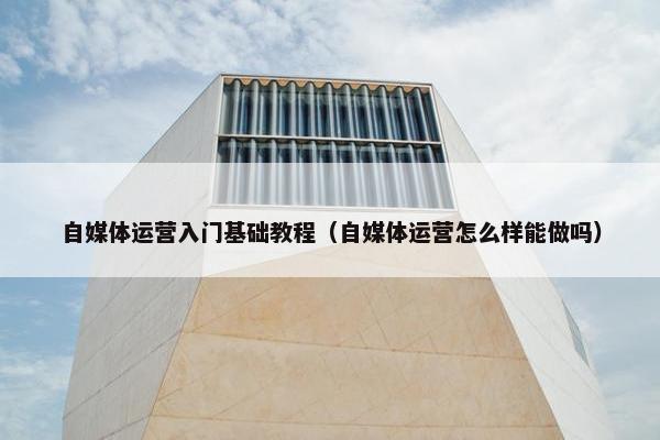 自媒体运营入门基础教程（自媒体运营怎么样能做吗）