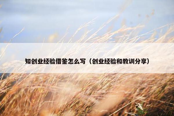知创业经验借鉴怎么写（创业经验和教训分享）