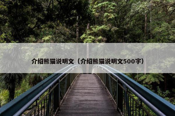 介绍熊猫说明文（介绍熊猫说明文500字）