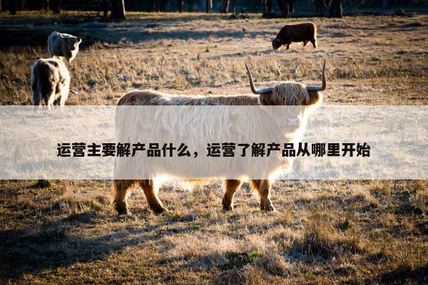 运营主要解产品什么，运营了解产品从哪里开始