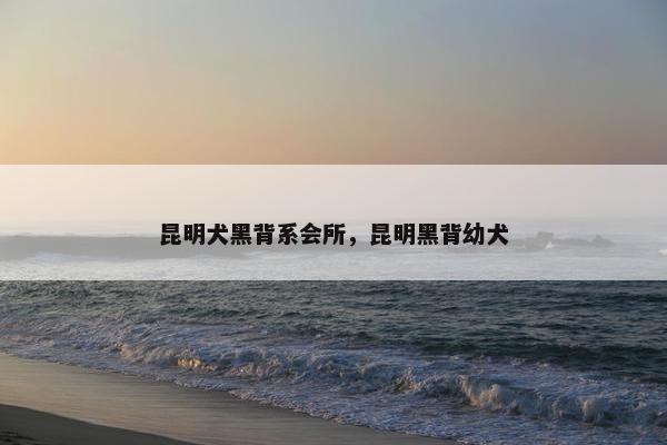 昆明犬黑背系会所，昆明黑背幼犬