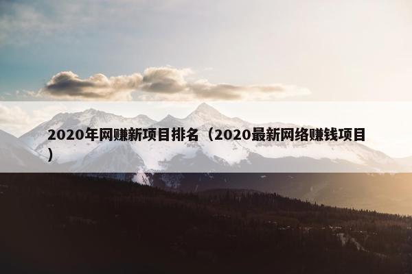 2020年网赚新项目排名（2020最新网络赚钱项目）