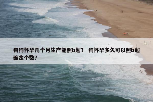 狗狗怀孕几个月生产能照b超？ 狗怀孕多久可以照b超确定个数？