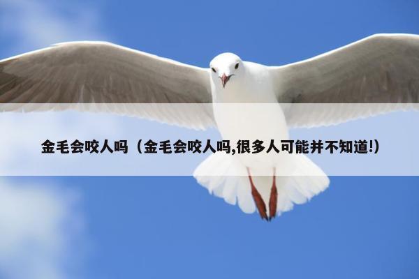 金毛会咬人吗（金毛会咬人吗,很多人可能并不知道!）