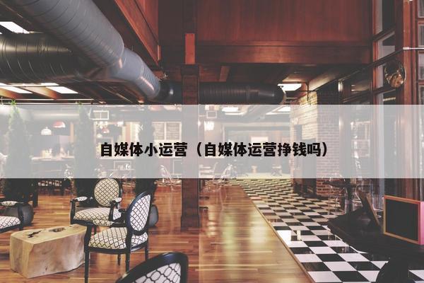 自媒体小运营（自媒体运营挣钱吗）