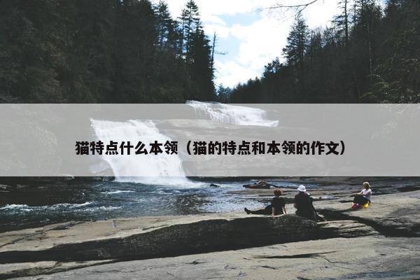 猫特点什么本领（猫的特点和本领的作文）