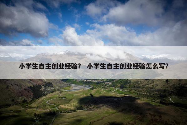小学生自主创业经验？ 小学生自主创业经验怎么写？