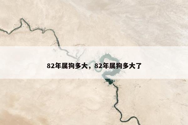 82年属狗多大，82年属狗多大了