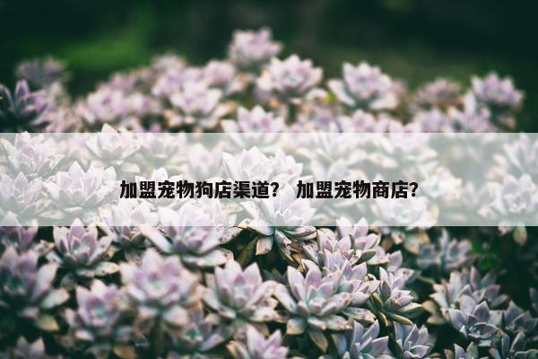 加盟宠物狗店渠道？ 加盟宠物商店？