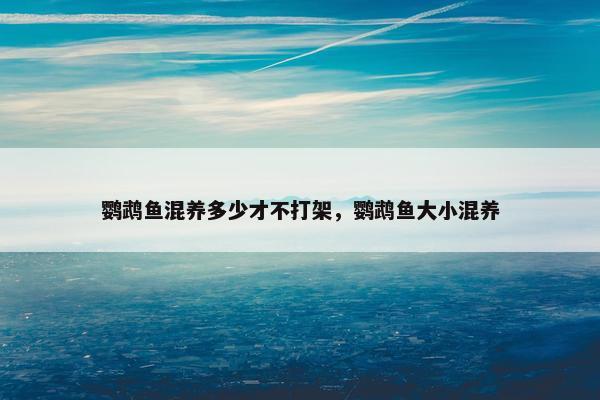 鹦鹉鱼混养多少才不打架，鹦鹉鱼大小混养
