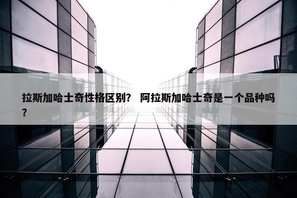 拉斯加哈士奇性格区别？ 阿拉斯加哈士奇是一个品种吗？