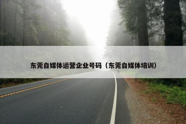 东莞自媒体运营企业号码（东莞自媒体培训）