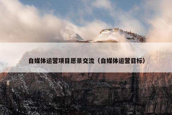 自媒体运营项目愿景交流（自媒体运营目标）