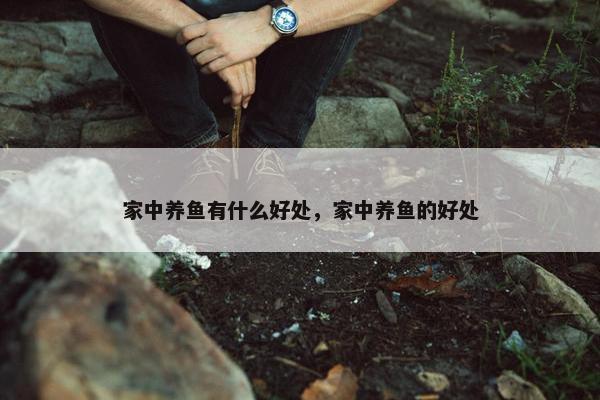 家中养鱼有什么好处，家中养鱼的好处