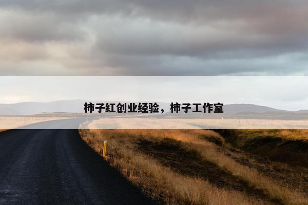 柿子红创业经验，柿子工作室