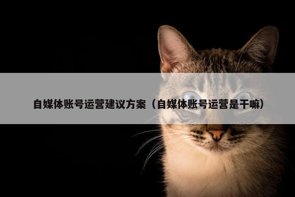 自媒体账号运营建议方案（自媒体账号运营是干嘛）