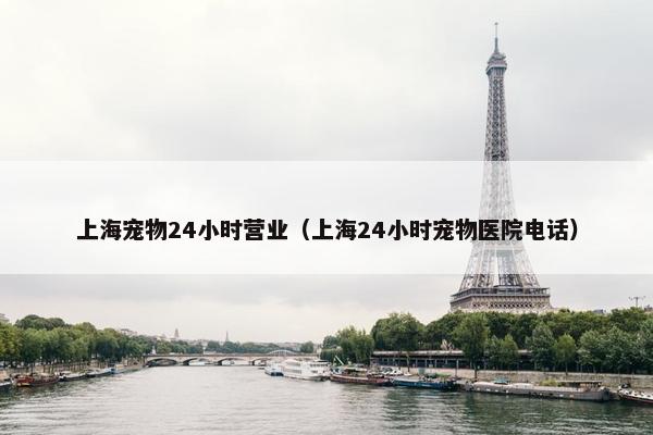 上海宠物24小时营业（上海24小时宠物医院电话）