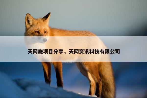 天网赚项目分享，天网资讯科技有限公司