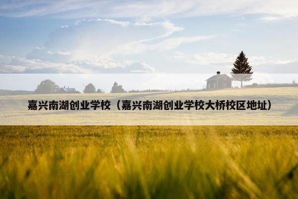 嘉兴南湖创业学校（嘉兴南湖创业学校大桥校区地址）