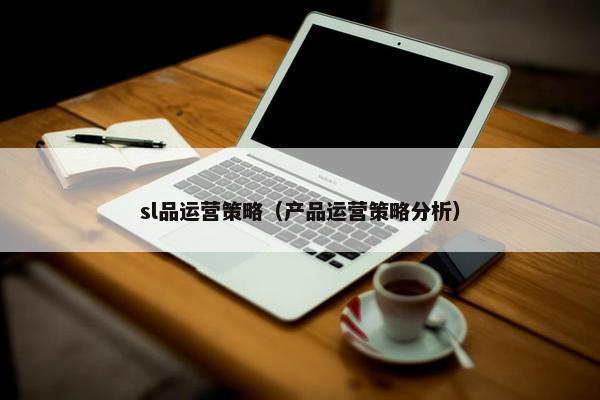 sl品运营策略（产品运营策略分析）