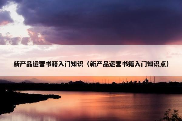 新产品运营书籍入门知识（新产品运营书籍入门知识点）