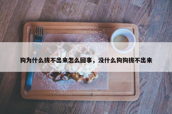 狗为什么拔不出来怎么回事，没什么狗狗拔不出来
