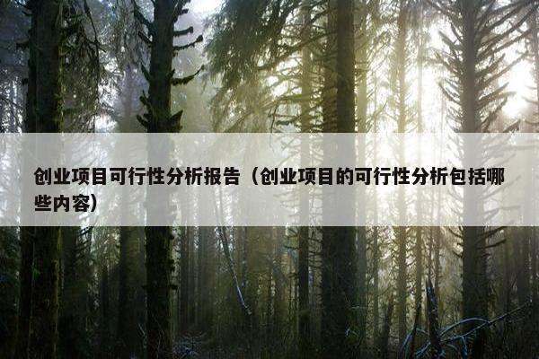 创业项目可行性分析报告（创业项目的可行性分析包括哪些内容）
