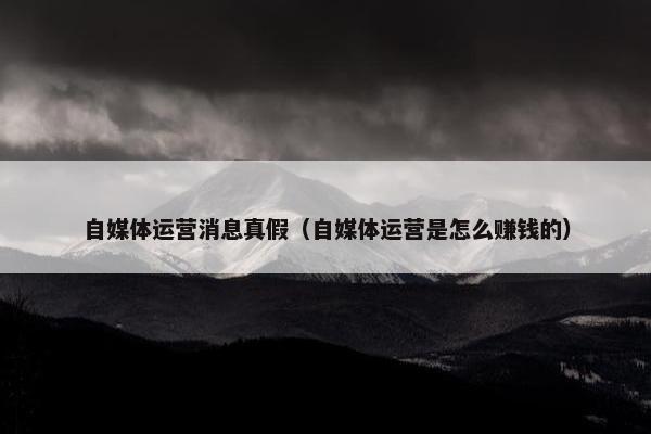 自媒体运营消息真假（自媒体运营是怎么赚钱的）