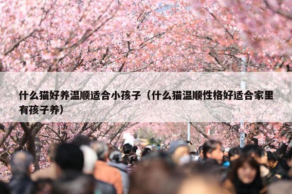 什么猫好养温顺适合小孩子（什么猫温顺性格好适合家里有孩子养）