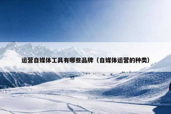运营自媒体工具有哪些品牌（自媒体运营的种类）
