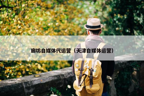 廊坊自媒体代运营（天津自媒体运营）