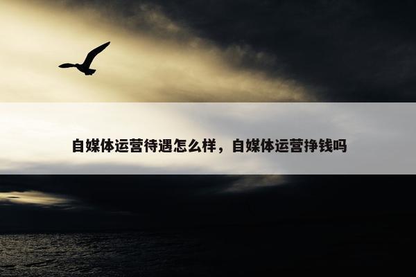 自媒体运营待遇怎么样，自媒体运营挣钱吗