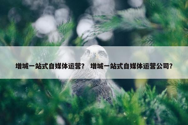 增城一站式自媒体运营？ 增城一站式自媒体运营公司？