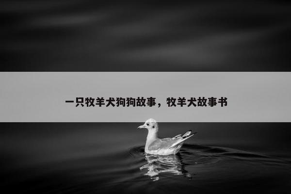 一只牧羊犬狗狗故事，牧羊犬故事书
