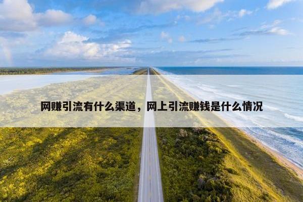 网赚引流有什么渠道，网上引流赚钱是什么情况