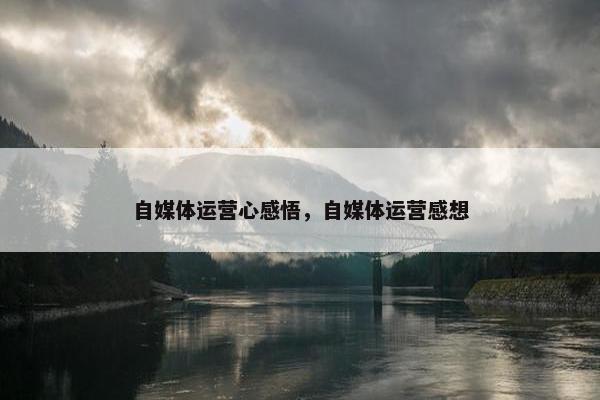 自媒体运营心感悟，自媒体运营感想