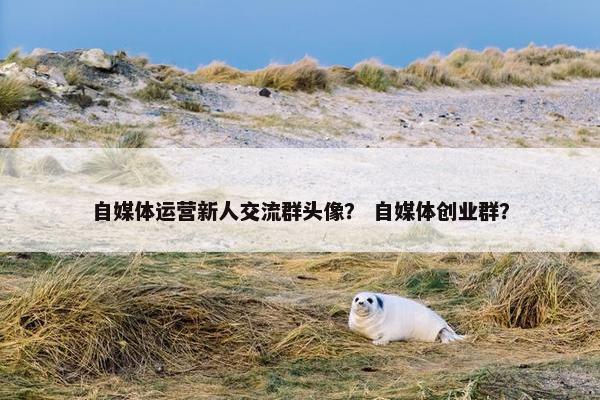 自媒体运营新人交流群头像？ 自媒体创业群？