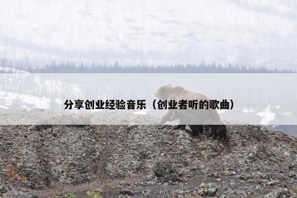 分享创业经验音乐（创业者听的歌曲）