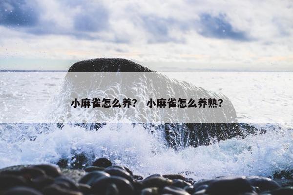 小麻雀怎么养？ 小麻雀怎么养熟？