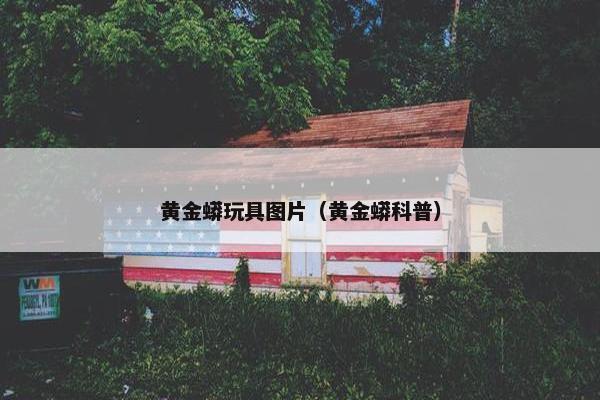 黄金蟒玩具图片（黄金蟒科普）