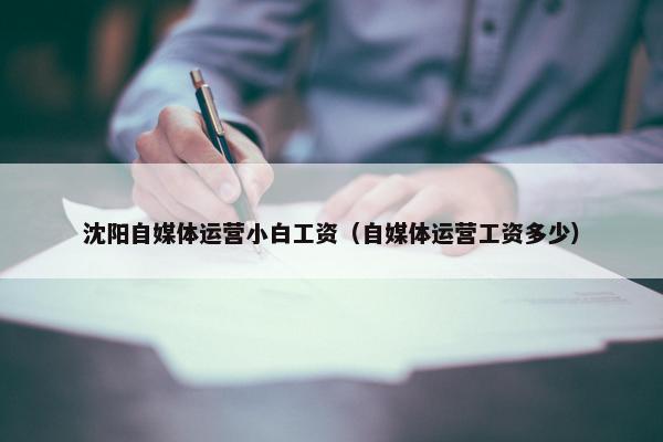 沈阳自媒体运营小白工资（自媒体运营工资多少）