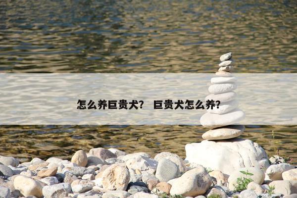 怎么养巨贵犬？ 巨贵犬怎么养？