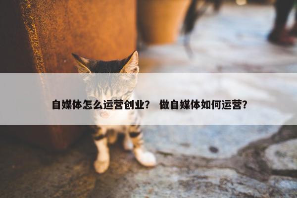 自媒体怎么运营创业？ 做自媒体如何运营？