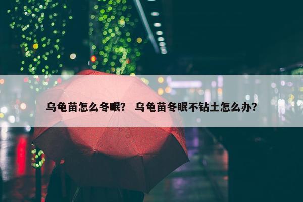 乌龟苗怎么冬眠？ 乌龟苗冬眠不钻土怎么办？