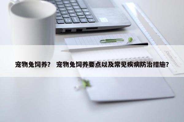 宠物兔饲养？ 宠物兔饲养要点以及常见疾病防治措施？