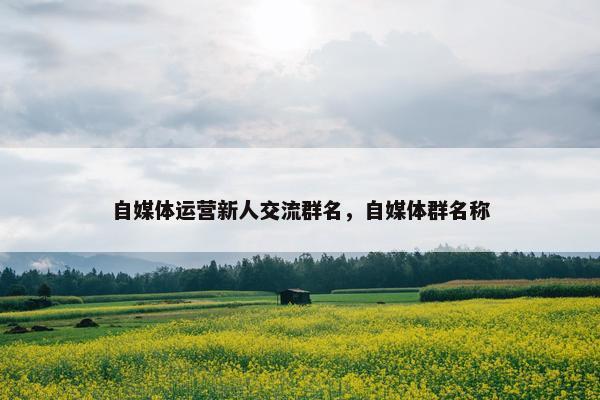 自媒体运营新人交流群名，自媒体群名称