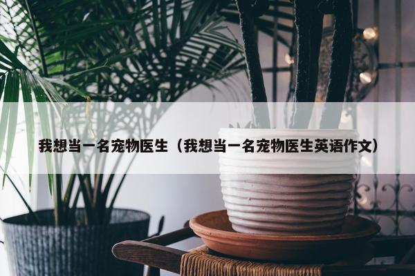 我想当一名宠物医生（我想当一名宠物医生英语作文）