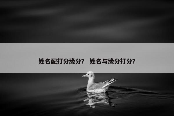 姓名配打分缘分？ 姓名与缘分打分？